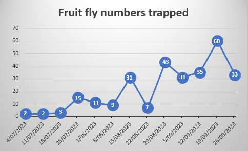 Fruit fly numbers