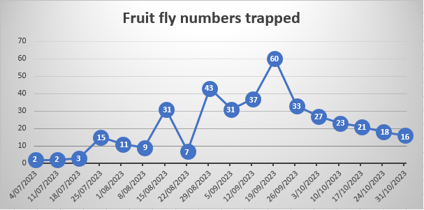 Numbers declined in October